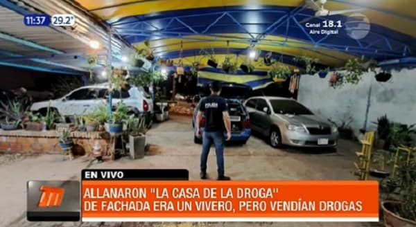Allanan vivero donde “vendían” drogas en Luque