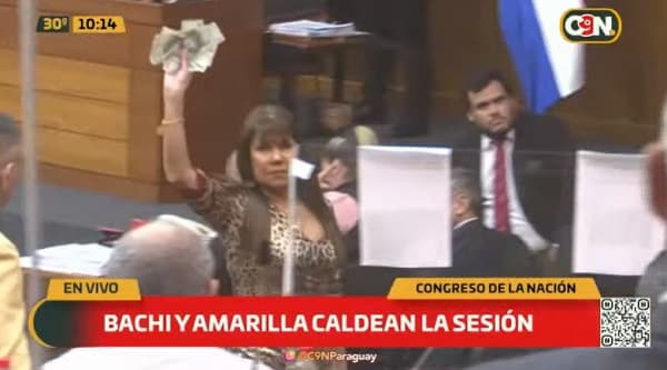 Celeste arroja billetes a Bachi en sesión de Diputados