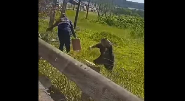 Vendedores informales de combustibles se defienden con abejas