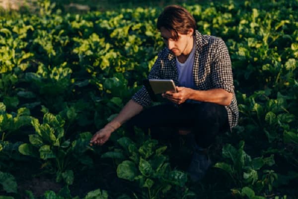 Llega CreaTech, un evento de innovación y tecnología agropecuaria