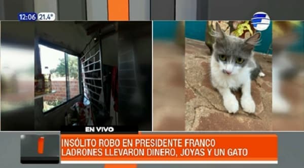 Roban G. 18 millones y hasta el gato de vivienda en Presidente Franco