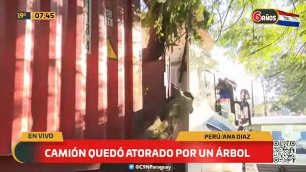Camión queda atascado por un árbol en zona del Mercado 4
