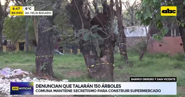 Vecinos y diputada denuncian eventual tala de más de 100 árboles en Asunción