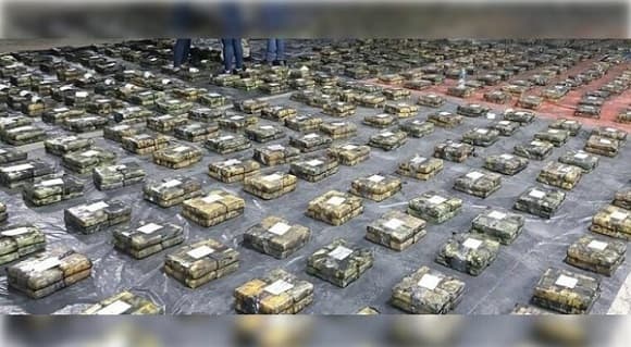 Nopal y Gerbera: Sospechosas en caso de narcotráfico