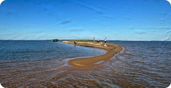 Ministerio de Obras trabaja en nuevo proyecto de recuperación de las dunas, confirman