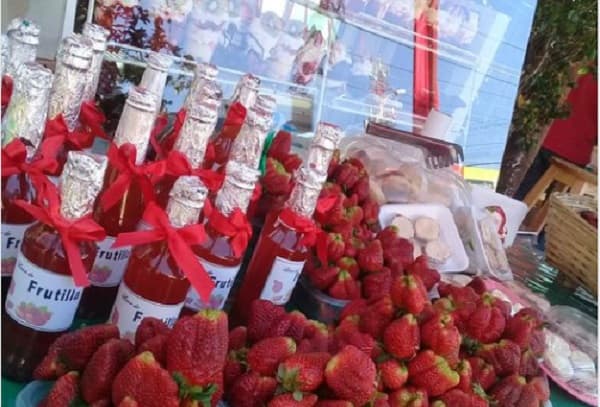 Invitan a visitar la Expo Frutilla en Areguá