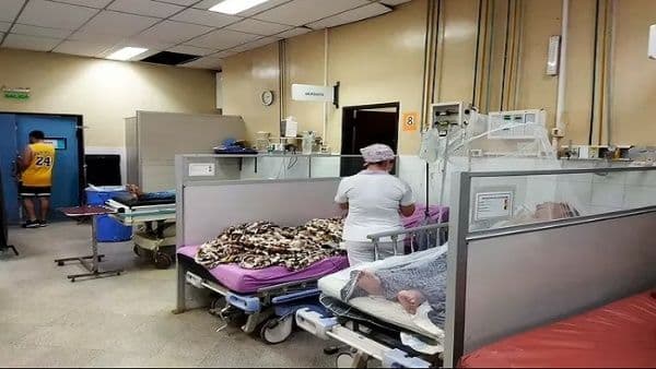 Se registra estrepitoso descenso de dengue y chikungunya