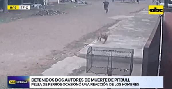 Capiatá: Hombre ingresa a la casa de un vecino y mata a puñaladas al perro