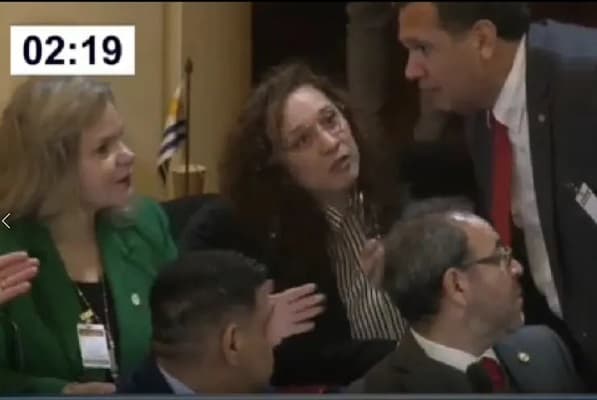 Papelón del senador Maidana en Parlasur con representante uruguaya