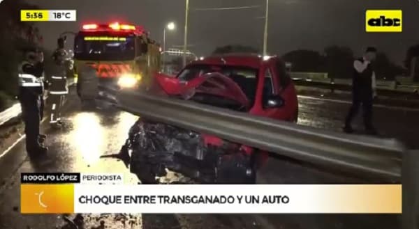 Transganado choca contra un auto y termina volcando en Limpio