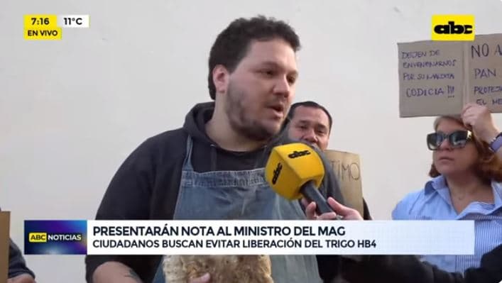 Presentan nota y estudios para evitar liberación del trigo transgénico HB4