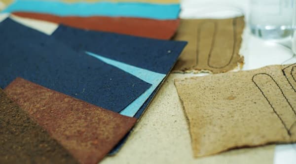 Innovación paraguaya que transforma mangos en biocuero