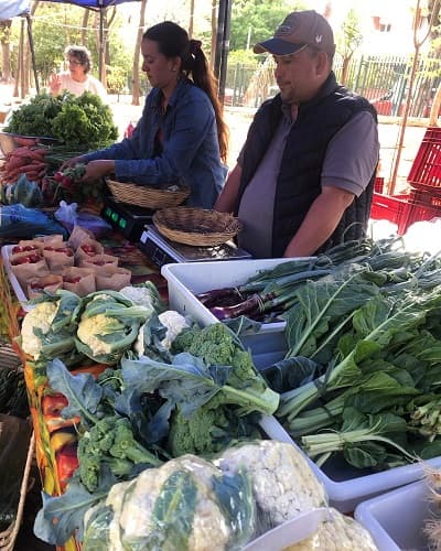 Sábado de feria, talleres y concierto en la Plaza Italia