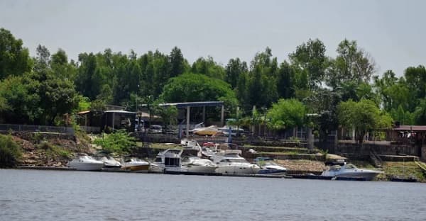 ¿Justicia desigual? Campesinos exigen imputación a invasores VIP