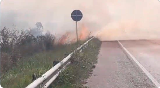 Incontrolable incendio en reserva de Luque - San Bernardino