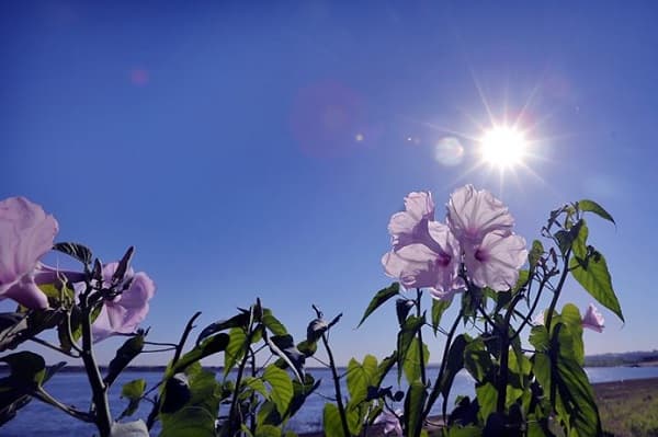 La primavera llega con 40° de calor y chaparrones al noreste del país