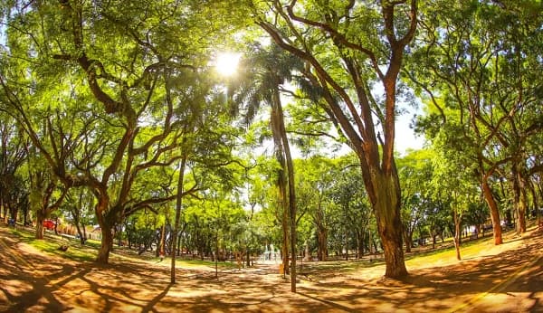 Cálido a caluroso con lluvias aisladas para este martes