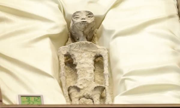 ¿Existen los seres no humanos? La Cámara de Diputados de México se sumerge en el debate ufológico