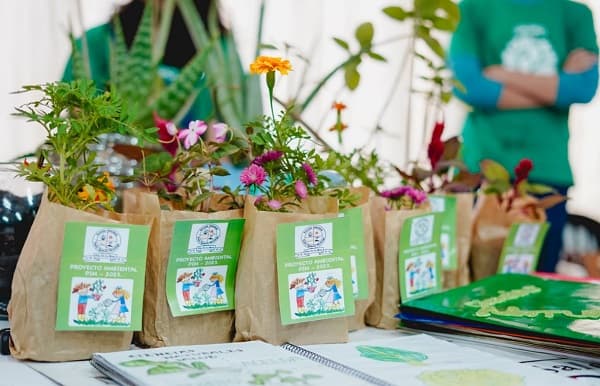 Proyecto de educación ambiental busca impactar a 11 mil estudiantes en Paraguay