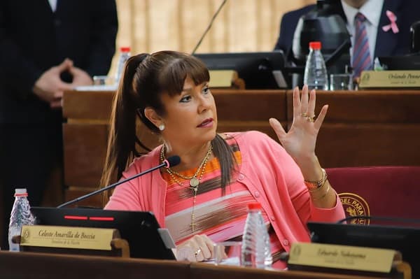 Diputados reprueban acciones de la senadora Celeste Amarilla