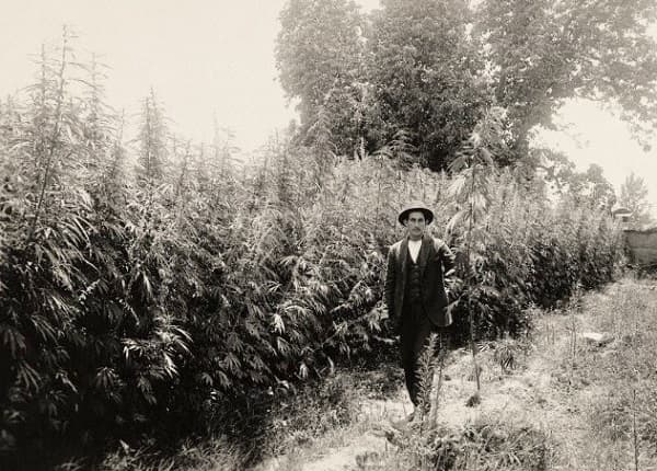 Raíces ocultas del narcotráfico en Paraguay: Un viaje al pasado