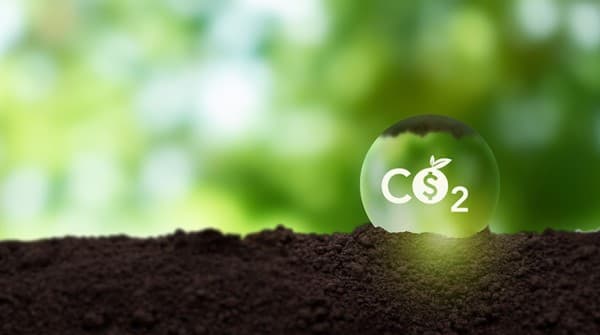 Diputado alerta sobre tratamiento 'apurado' de ley de créditos de carbono