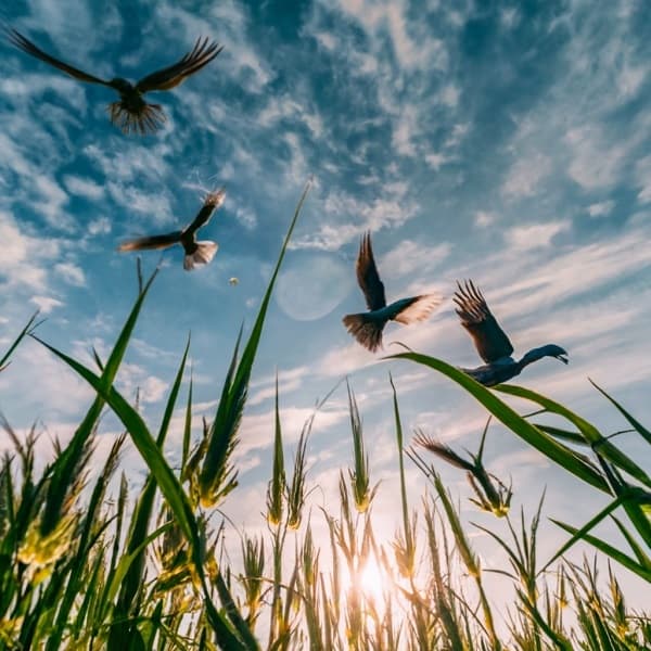 Inicio de semana caluroso