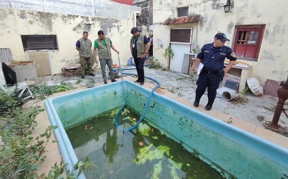 Intervienen piscina abandonada ante alerta por dengue