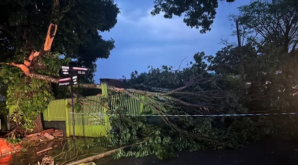 Fuerte temporal deja árboles caídos y cables sueltos en Hernandarias