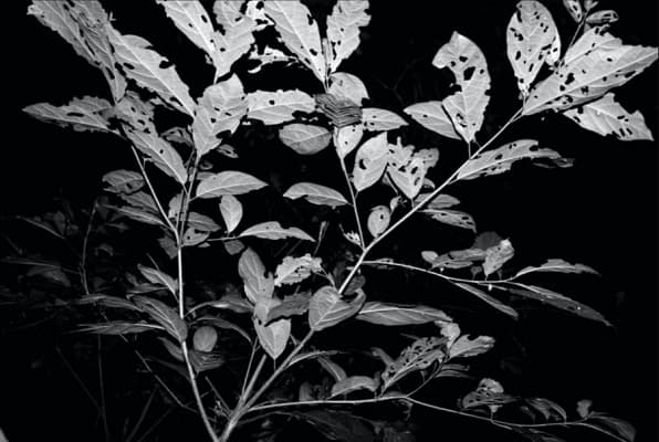 Luvier Casali desvela 'Ejercicios nocturnos' en Espacio K