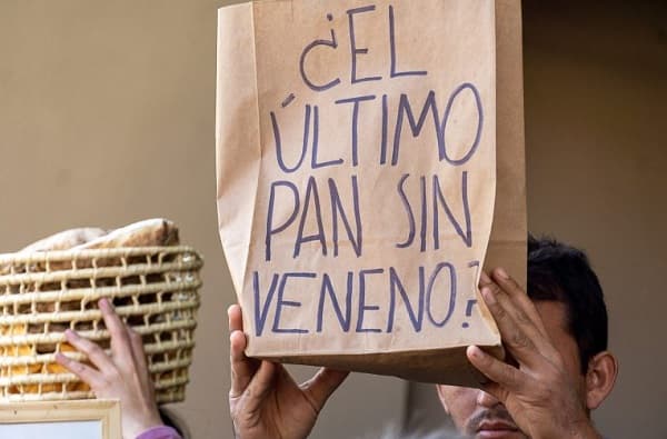 Inquietud por silencio del Ministerio sobre trigo transgénico