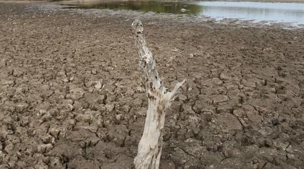 Crisis hídrica en el Chaco Paraguayo: Ministro de Defensa denuncia situación 'dramática'