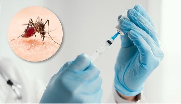 La vacuna contra el dengue: Una estrategia entre muchas, pero ¿al alcance de Paraguay?