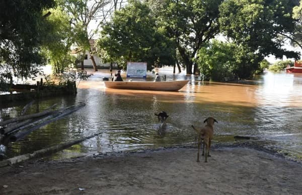 Ayolas en emergencia: impacto climático afecta a 693 familias