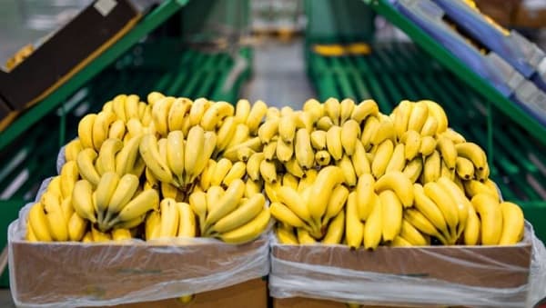 Paraguay y Bolivia reanudarán envíos de bananas a la Argentina