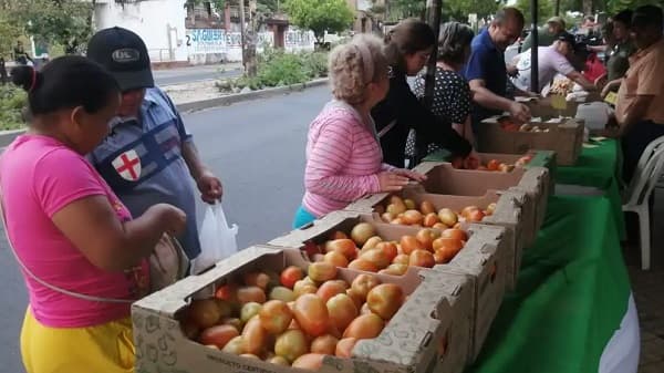¡Tomates a G. 9.000 el kilo! La feria del MAG atrae multitudes en Asunción y Central