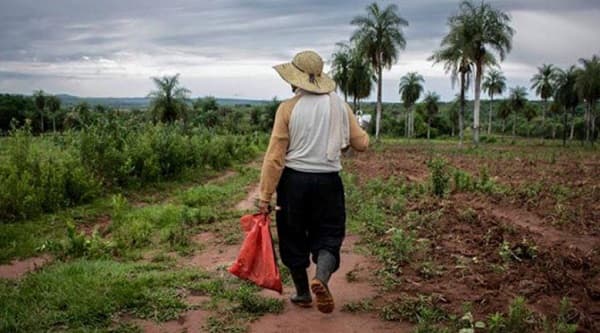 Reforma agraria en Paraguay: Un camino de 140 años