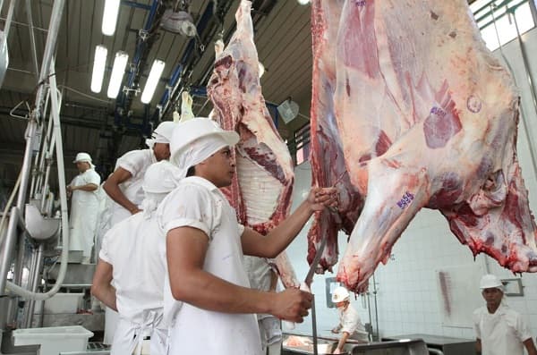 Israel aprueba importación de carne paraguaya con hueso
