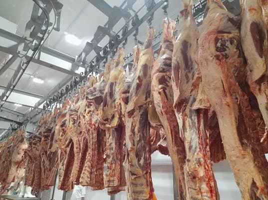 Exportación de carne paraguaya a EE.UU. inicia proceso de preparación