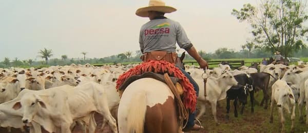 ONU insta a América Latina a descarbonizar el agro