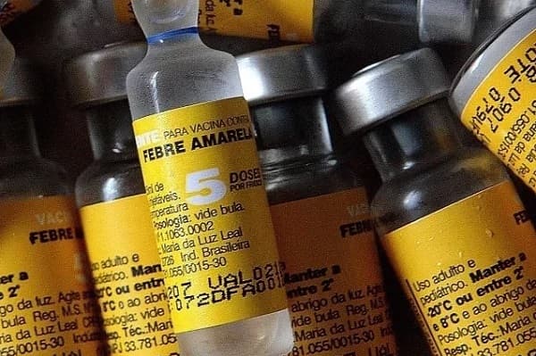 ¿Cómo obtener tu certificado electrónico de vacunación para viajar?