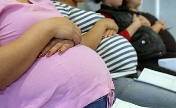 Alertan sobre contagio vertical de dengue en embarazadas