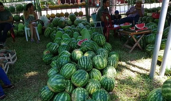 Este fin de semana iniciará la celebración de la sandía en Paso Güembé