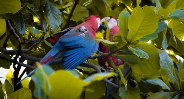 Ruta del Gua’a gana Excelencia Turística 2023 en Fitur Madrid