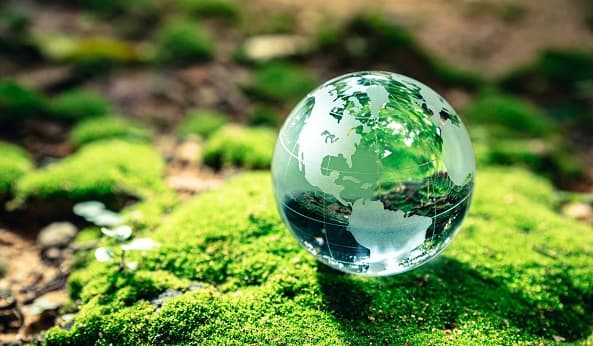 26 de Enero: Reflexión y acción en el Día Mundial de la Educación Ambiental
