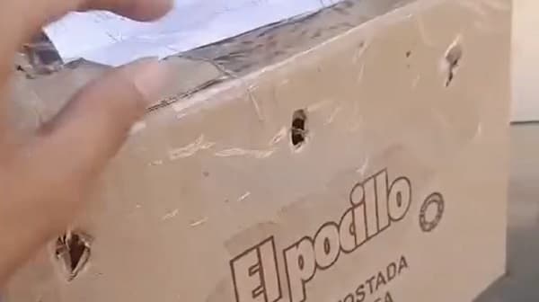 ¡Monita muere asfixiada en encomienda! Mades interviene y busca responsables