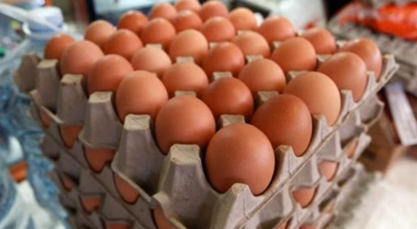 Huevos paraguayos llegan al mercado de Singapur