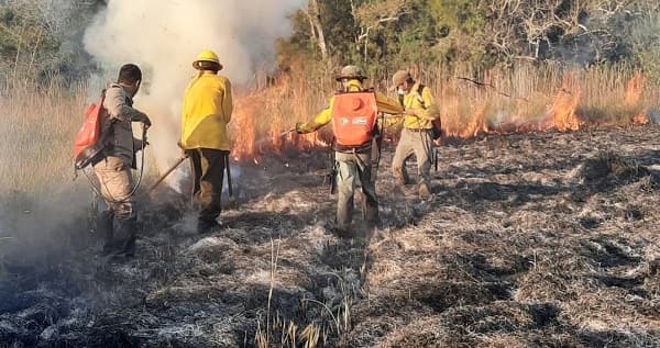 Infona extiende prohibición de quemas por incendios