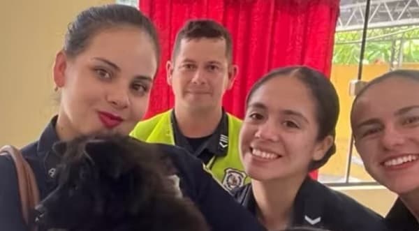 ¡Un Chow Chow a la venta! Menor roba perro para comprar droga