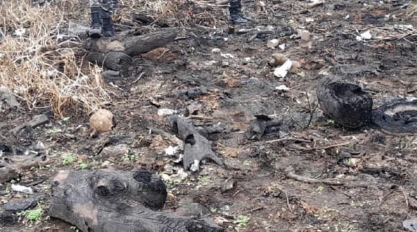 Hallan restos óseos humanos en la Costanera Sur de Asunción